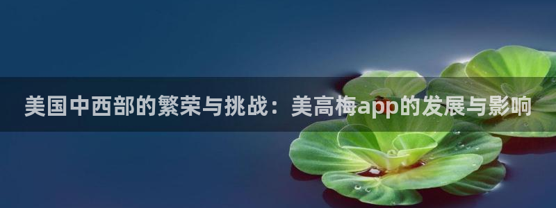 先锋娱乐体育f开号：美国中西部的繁荣与挑战：美高梅app的发展与影响