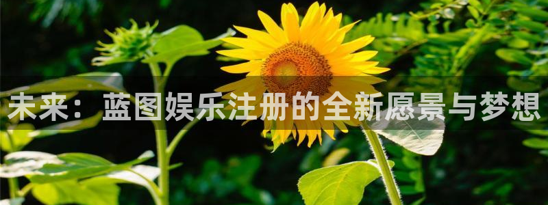 先锋娱乐电子有限公司：未来：蓝图娱乐注册的全新愿景与梦想