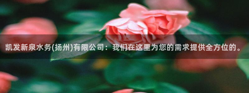 www.先锋娱乐体育.com：凯发新泉水务(扬州)有限公司：我们在这里为您的需求
