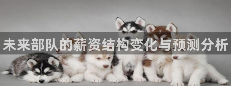 先锋娱乐凯捷平台：未来部队的薪资结构变化与预测分析