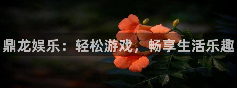 先锋娱乐体育平台登录入口：鼎龙娱乐：轻松游戏，畅享生活乐趣