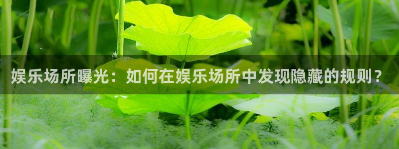 先锋娱乐官网：娱乐场所曝光：如何在娱乐场所中发现隐藏的规则？