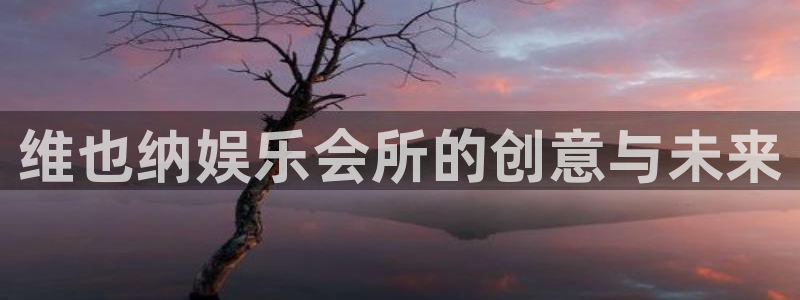 先锋娱乐体育2官网入口：维也纳娱乐会所的创意与未来