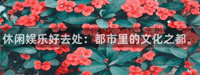 先锋娱乐体育f开户：休闲娱乐好去处：都市里的文化之都。