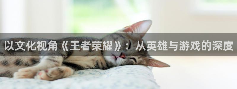 先锋娱乐2登录：以文化视角《王者荣耀》：从英雄与游戏的深度