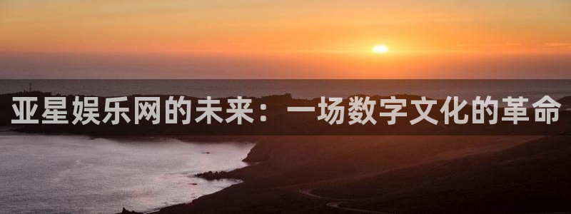 先锋娱乐体育注册登录入口：亚星娱乐网的未来：一场数字文化的革命
