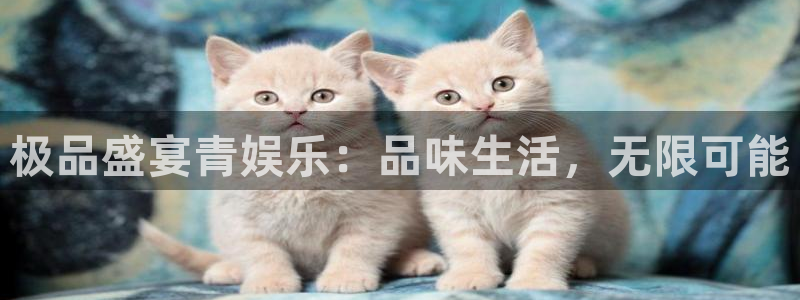 先锋娱乐kgame：极品盛宴青娱乐：品味生活，无限可能