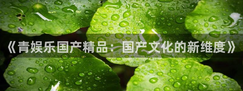 先锋娱乐3平台注册：《青娱乐国产精品：国产文化的新维度》
