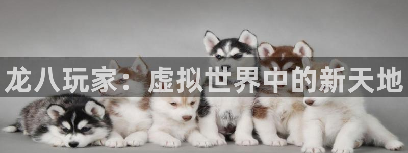 先锋娱乐体育凯捷代理注册：龙八玩家：虚拟世界中的新天地