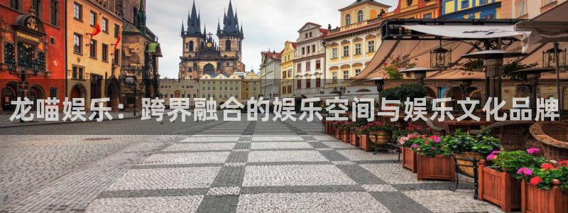 先锋娱乐4注册：龙喵娱乐：跨界融合的娱乐空间与娱乐文化品牌