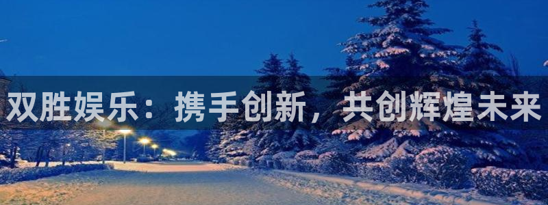 先锋娱乐凯捷平台注册链接：双胜娱乐：携手创新，共创辉煌未来