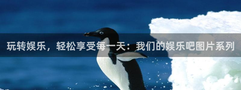 先锋娱乐平台：玩转娱乐，轻松享受每一天：我们的娱乐吧图片系列
