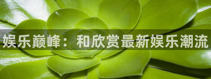 先锋娱乐体育3：娱乐巅峰：和欣赏最新娱乐潮流