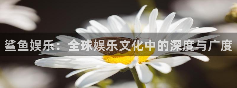 先锋娱乐f凯捷平台在线注册：鲨鱼娱乐：全球娱乐文化中的深度与广度