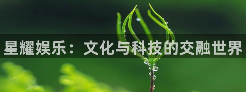 先锋娱乐官网注册：星耀娱乐：文化与科技的交融世界