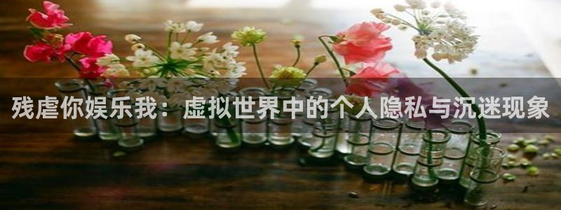 先锋娱乐凯捷平台：残虐你娱乐我：虚拟世界中的个人隐私与沉迷现象