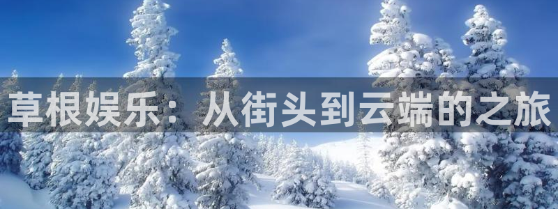 佛山市南海先锋娱乐机电仪器有限公司：草根娱乐：从街头到云端的之旅