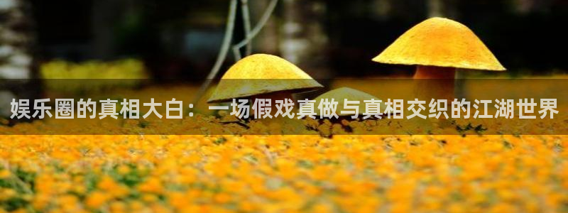 先锋娱乐注册：娱乐圈的真相大白：一场假戏真做与真相交织的江湖世界