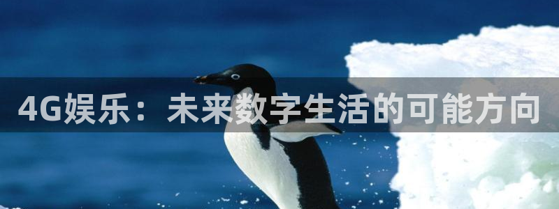 先锋娱乐5：4G娱乐：未来数字生活的可能方向