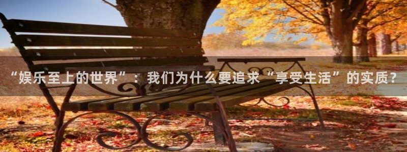 先锋娱乐体育代理申请流程：“娱乐至上的世界”：我们为什么要追求“享受生活”的实质