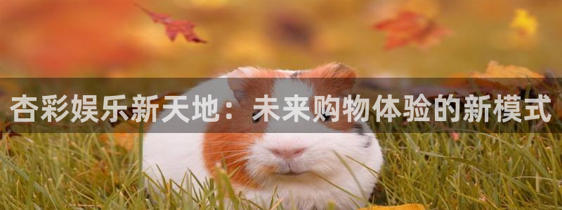 先锋娱乐4注册：杏彩娱乐新天地：未来购物体验的新模式
