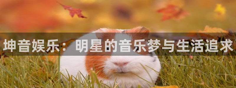 先锋娱乐体育热门赛事有哪些：坤音娱乐：明星的音乐梦与生活追求