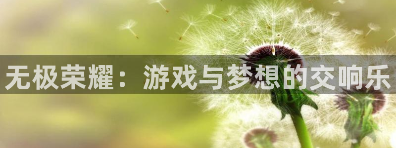 先锋娱乐体育免费注册入口：无极荣耀：游戏与梦想的交响乐