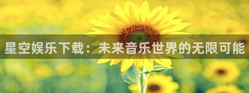 先锋娱乐集团：星空娱乐下载：未来音乐世界的无限可能