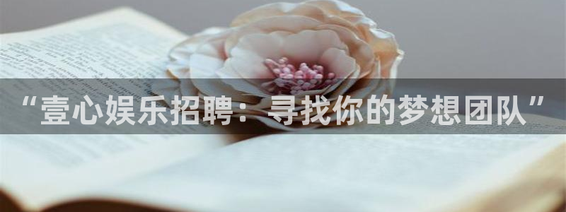 先锋娱乐体育平台总代理：“壹心娱乐招聘：寻找你的梦想团队”