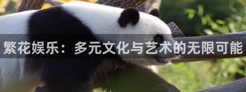 先锋娱乐f凯捷注册：繁花娱乐：多元文化与艺术的无限可能