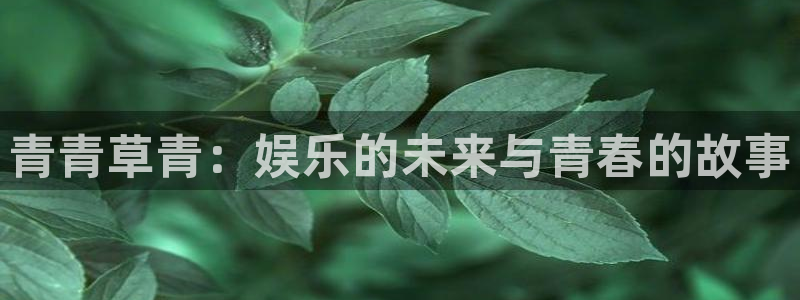 先锋娱乐体育平台登录入口：青青草青：娱乐的未来与青春的故事