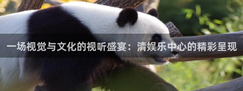 先锋娱乐vk：一场视觉与文化的视听盛宴：清娱乐中心的精彩呈现