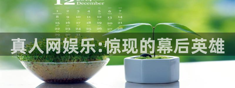 先锋娱乐2官网：真人网娱乐:惊现的幕后英雄
