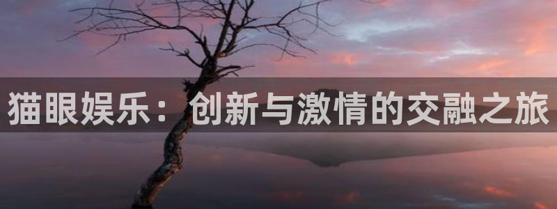 先锋娱乐平台注册入口：猫眼娱乐：创新与激情的交融之旅
