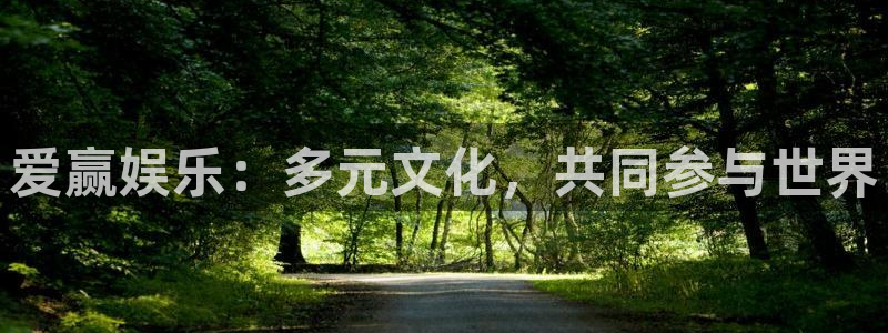 先锋娱乐体育凯捷平台招商：爱赢娱乐：多元文化，共同参与世界