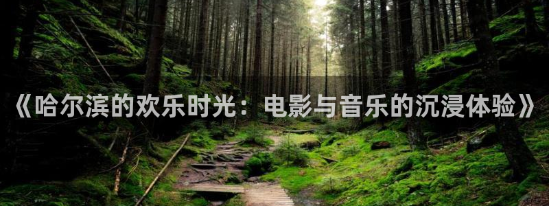先锋娱乐体育注册代理：《哈尔滨的欢乐时光：电影与音乐的沉浸体验》