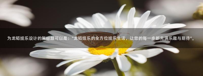 德国先锋娱乐集团：为龙韬娱乐设计的新标题可以是：\
