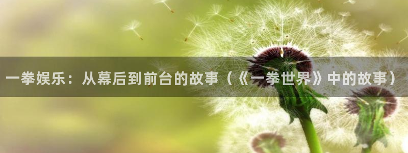 先锋娱乐4登录：一拳娱乐：从幕后到前台的故事（《一拳世界》中的故事）