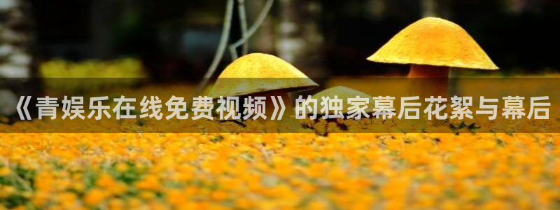 先锋娱乐5注册：《青娱乐在线免费视频》的独家幕后花絮与幕后