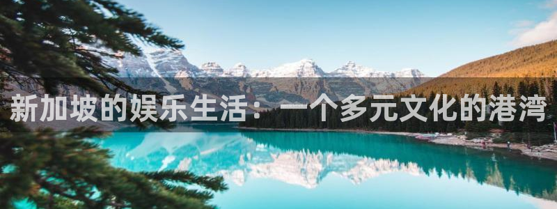 先锋娱乐2注册：新加坡的娱乐生活：一个多元文化的港湾